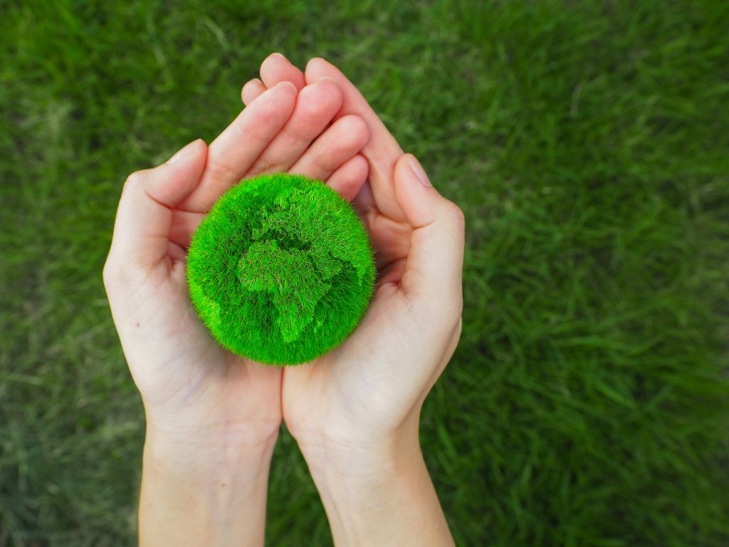 Il greenwashing nella finanza green: una minaccia per la sostenibilità