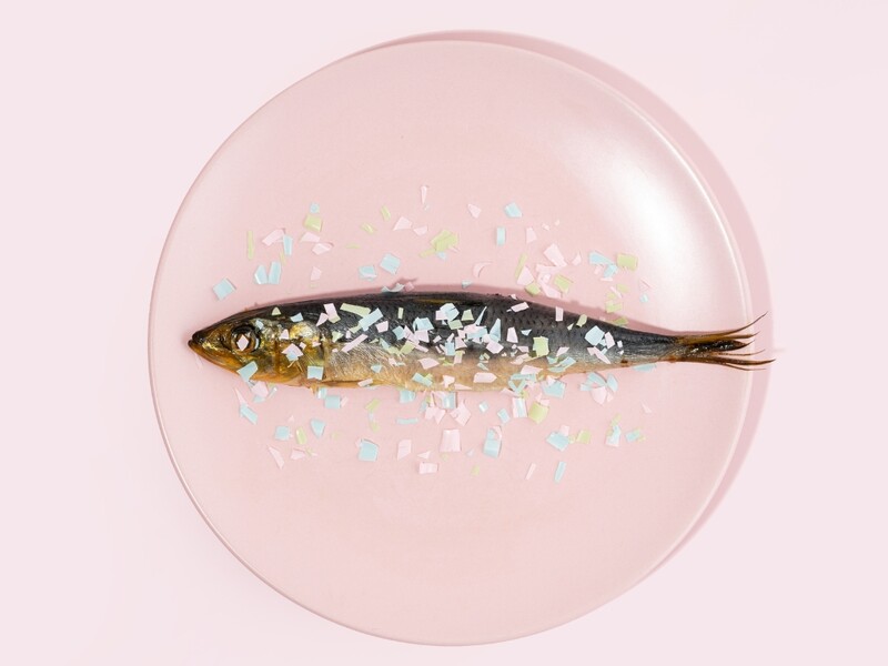 Gli impianti di riciclaggio della plastica: un problema di microplastiche